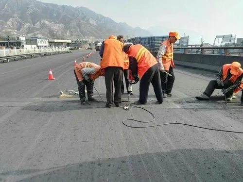 高昌道路桥梁病害治理